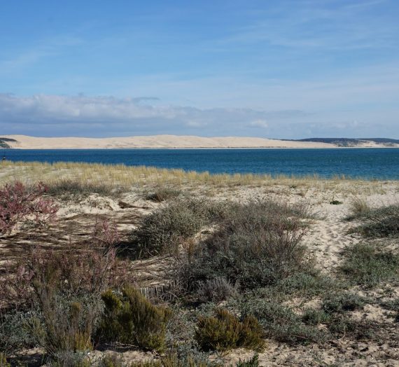 Le Cap Ferret, encore