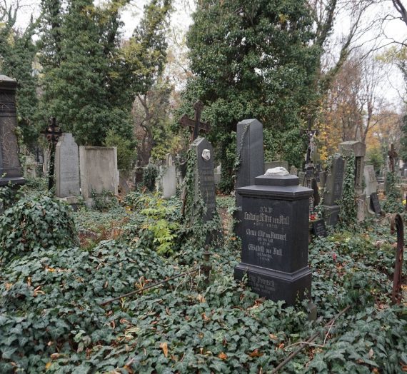 Le paisible cimetière d'Olsany / Olšanské hřbitovy  de Prague