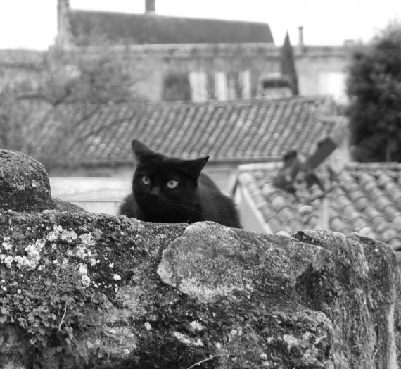 Saint Emilion