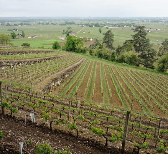 Escapade à Saint Emilion