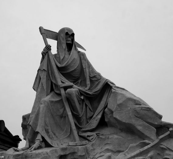 Errances au cimetière de la chartreuse