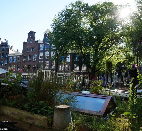 Un vendredi après midi d'été à Amsterdam