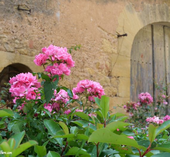 Le Buisson de Cadouin et alentours